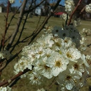 Meet your Posher, Evy